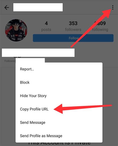 how to view private instagram page